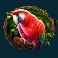 gorilla-mayhem-slot-parrot-symbol