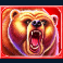into-the-wild-megaways-slot-bear-symbol