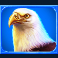 into-the-wild-megaways-slot-eagle-symbol