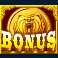 into-the-wild-megaways-slot-scatter-symbol