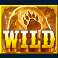 into-the-wild-megaways-slot-wild-symbol