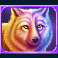 into-the-wild-megaways-slot-wolf-symbol
