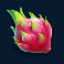 tropical-tiki-slot-dragon-fruit-symbol