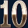 wild-trigger-slot-10-symbol