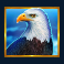 wolf-gold-power-jackpot-slot-eagle-symbol