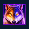 wolf-gold-power-jackpot-slot-wolf-wild-symbol