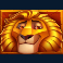 max-chance-and-the-safari-secrets-slot-lion-symbol