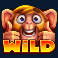 max-chance-and-the-safari-secrets-slot-wild-symbol
