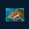 mega-don-slot-gold-shark-symbol