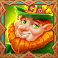 shamrock-money-pot-10k-ways-slot-wild-symbol