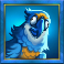 shifting-seas-slot-parrot-symbol