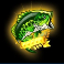 9-bass-slot-bass-scatter-symbol