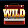 9-bass-slot-wild-symbol