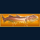 bass-boss-slot-orange-fish-multiplier-symbol