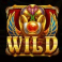 book-of-golden-sands-slot-wild-symbol