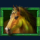 happy-hooves-slot-green-horse-symbol