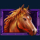 happy-hooves-slot-purple-horse-symbol