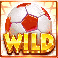 hot-shots-megaways-slot-wild-symbol