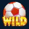 hot-shots-slot-wild-symbol