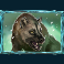 mount-m-slot-cave-hyena-symbol