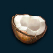 tropical-bonanza-slot-coconut-symbol