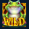 wild-hop-and-drop-slot-wild-symbol