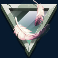 alpha-eagle-slot-feathers-symbol