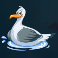 boat-bonanza-slot-seagull-symbol