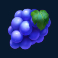 dropz-slot-grape-symbol