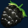 forest-fortune-slot-blackberry-symbol