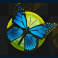 forest-fortune-slot-blue-butterfly-symbol