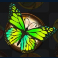 forest-fortune-slot-green-butterfly-symbol