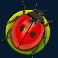 forest-fortune-slot-ladybird-symbol