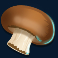 forest-fortune-slot-mushroom-symbol