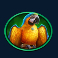 pirate-golden-age-slot-parrott-symbol