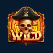 pirate-golden-age-slot-wild-symbol