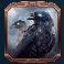 thunderstruck-stormchaser-slot-black-ravens-symbol