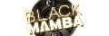 black-mamba-small-logo