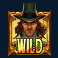 brides-of-dracula-hold-&-win-slot-wild-symbol