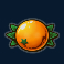 freeway-7-slot-orange-symbol