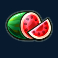 freeway-7-slot-watermelon-symbol