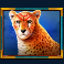 gems-of-serengeti-slot-cheetah-symbol