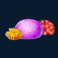 gold-fish-feeding-time-treasure-slot-coral-symbol