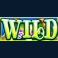 gold-fish-feeding-time-treasure-slot-small-wild-symbol