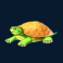 gold-fish-feeding-time-treasure-slot-turtle-symbol