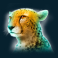 raging-rhino-mighty-ways-slot-cheetah-symbol