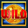 rainbow-riches-power-pitch-slot-gold-coin-wild-symbol