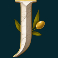 athena-ascending-slot-j-symbol