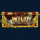 el-patron-slot-wild-symbol
