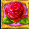 golden-goddess-slot-rose-symbol